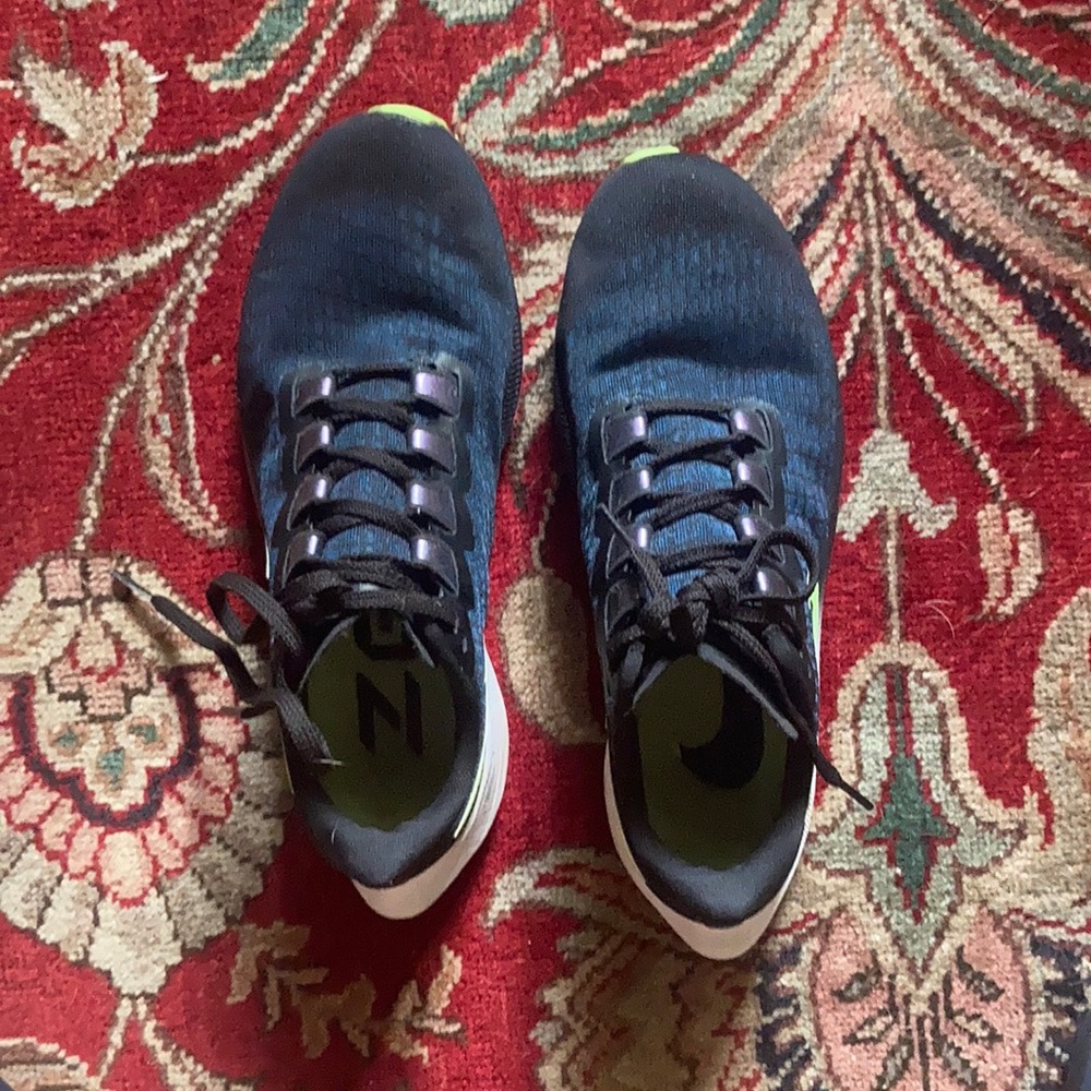 Nike Pegasus 37